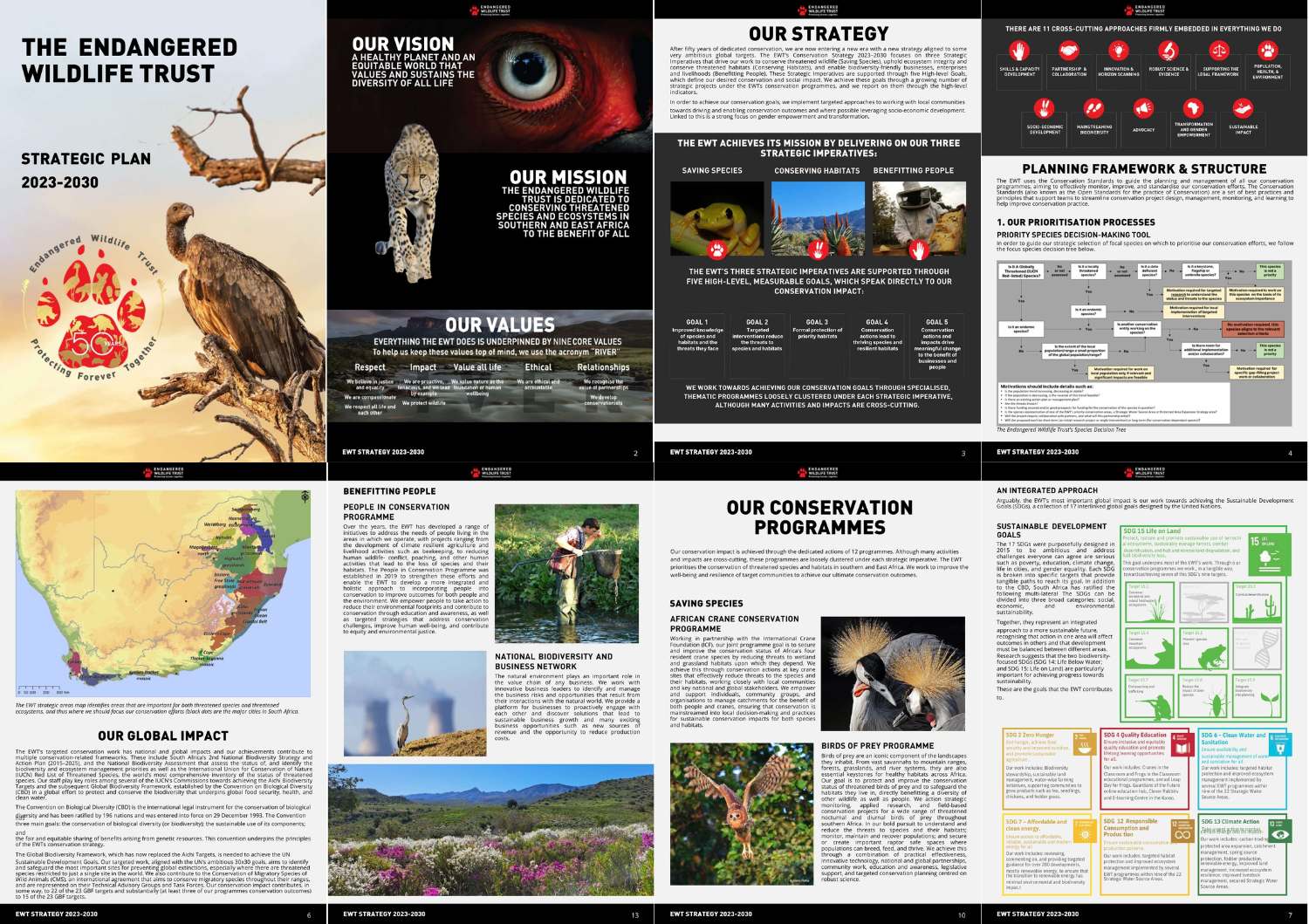 Collage of photos of pages of a publication